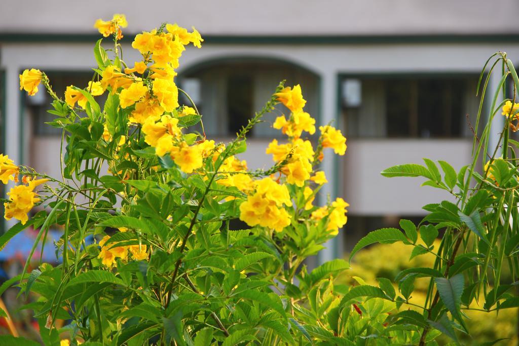 Blue Country Resort Panchgani Exterior photo